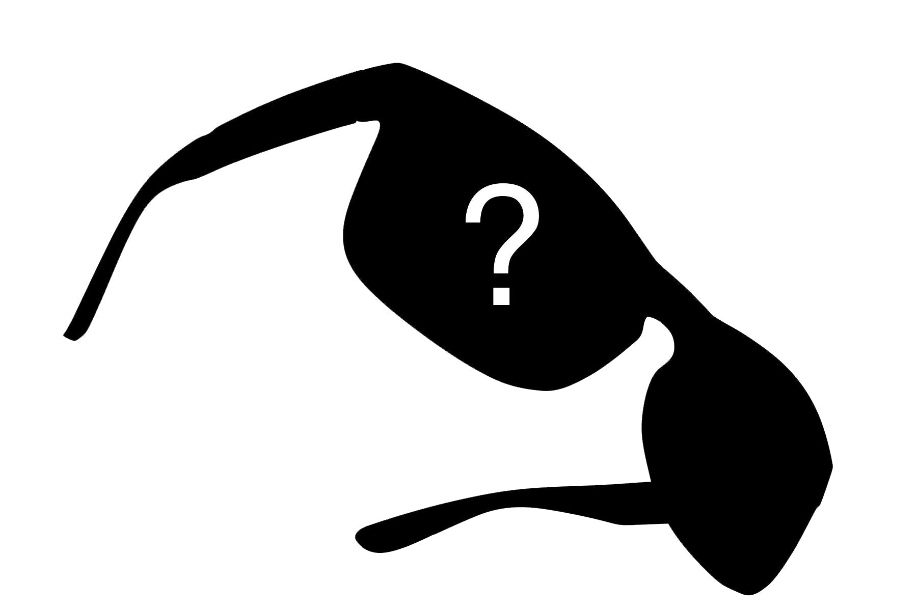 Limited Edition Men's Mystery Polarized Pair (No Returns/Replacements) mystery Shady Rays® | Polarized Sunglasses 